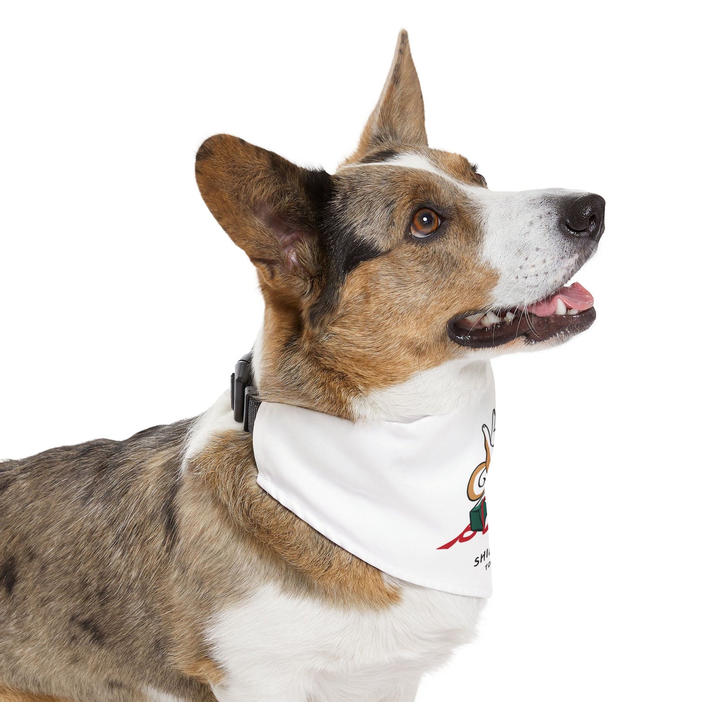 Pet Bandana Collar (Holiday Collection Red Shiba)